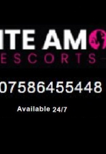 Elite Amor Escorts